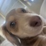 jaito 的头像
