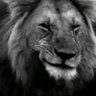 الأموي's profile picture