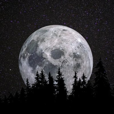 Black.'s profile picture