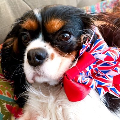 TheJenniWren's profile picture