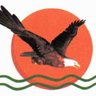 AFC - Alliance Fleuve Congo / Kinshasa's profile picture
