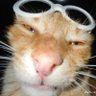 CJpunt's profile picture