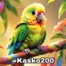 كاسكو🦜's profile picture