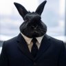 RabbitTurd's profile picture