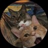 Profilbild von 小蓋