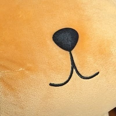solid_kapibara_'s profile picture