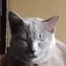 マシューワイズマン's profile picture