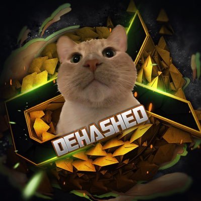 Type-R HASH's profile picture