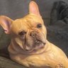 りーさん's profile picture