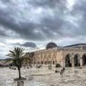 أبو يزن المقدسي profil fotoğrafı