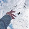 ♿moayad's profile picture
