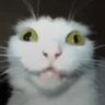 Profilbild von Furisk