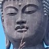 坂巻たださね profil fotoğrafı