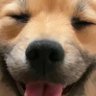 Profilbild von ういまる