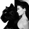 Stephanie's profile picture