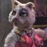 Profilbild von Astrea 🌻🟢🏳️‍⚧️🇵🇸🇱🇧🇨🇾🔞