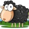 bozena oleszek's profile picture