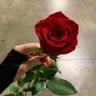 Фото профиля رغد المالكي