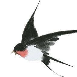 Swift_yuyan's profile picture