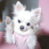 にゃーーー's profile picture