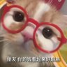 鸡翅包饭's profile picture