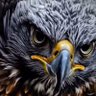 خالد S.A العنزي profil fotoğrafı