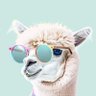 Vivian's profile picture
