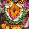 Ashwani Pandey 🇮🇳's profile picture