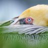 TT profil fotoğrafı