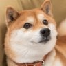 Derek's profile picture