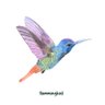 Фото профиля Ms. McConnell-