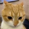 Profilbild von farmadilo