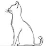 wasserfrau66's profile picture