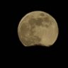 Lunatix's profile picture
