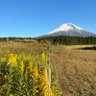 Фото профиля まる