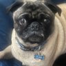 Profilbild von George