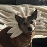 boberoo profil fotoğrafı