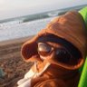 Diego Antonio's profile picture