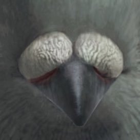 maisiebaby2002's profile picture