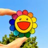 Oushihe profil fotoğrafı