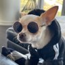 Charlie Huntsman's profile picture