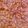 Фото профиля JERSEY SLICE