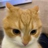 riley's profile picture