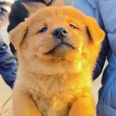 alolo0814372917's profile picture