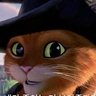 KELKEK's profile picture