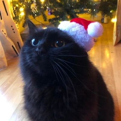 yomamawatchingu's profile picture