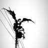 Rathis dima's profile picture