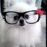Profilbild von nini