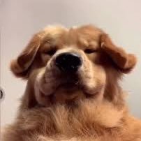 hyewonie8's profile picture