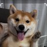 Фото профиля ぎんじ